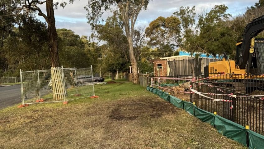 What a Site Arborist Does on Construction Projects